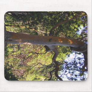 The Haunted tree... Mouse Pad