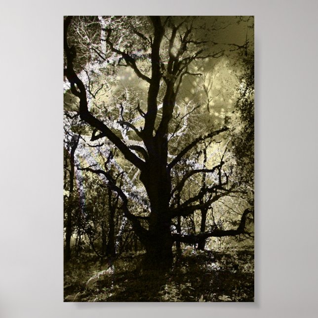 The Haunted Tree Poster (Front)