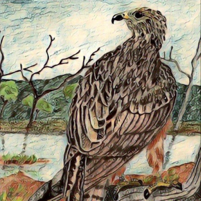 The Hawk Canvas Print (Creator Uploaded)