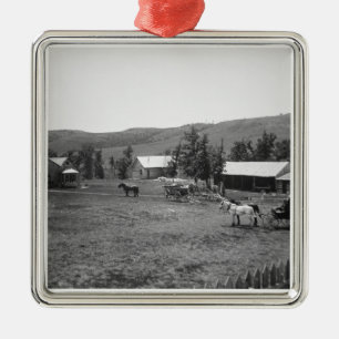 The Haylie Ranch, Crook County, Wyoming, c.1890 (b Metal Tree Decoration