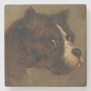 The Head of a Bulldog (by Théodore Géricault) Stone Coaster
