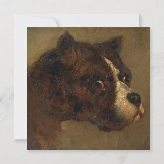 The Head of a Bulldog Card (Front)
