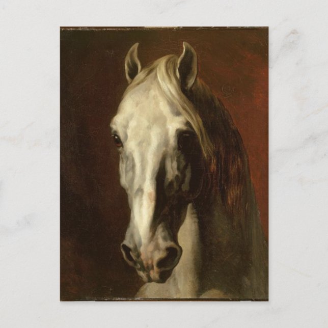 The head of white horse by Theodore Gericault Postcard (Front)