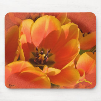 The Heart of the Matter Mouse Pad