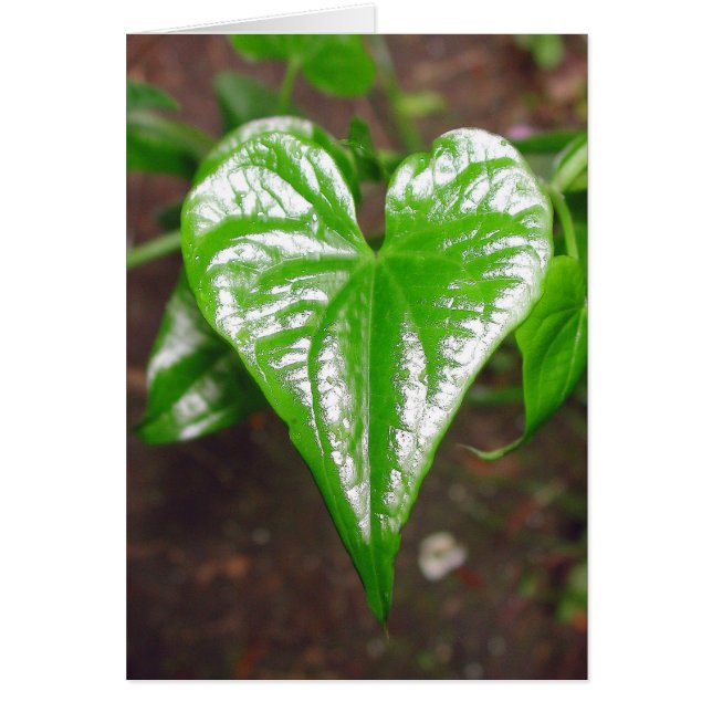 the heart of things... (Front)