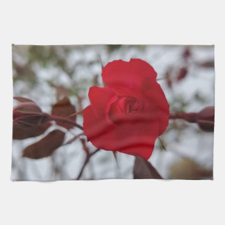 The Heart of Winter  Tea Towel