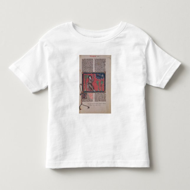 The Heavens, from 'De Natura rerum' Toddler T-Shirt (Front)