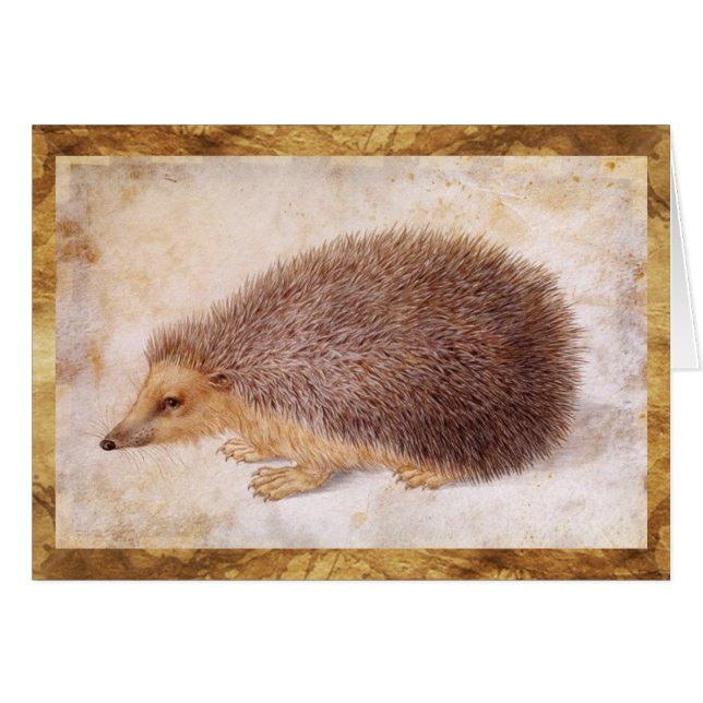 THE HEDGEHOG (Front Horizontal)