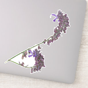 The Herb Clary Sage Vinyl Sticker