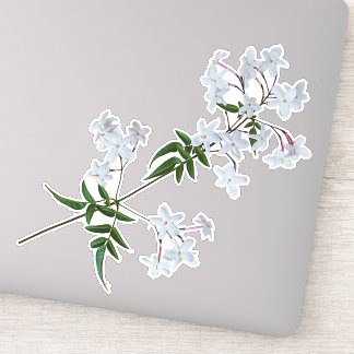 The Herb Jasmine | Vinyl Sticker