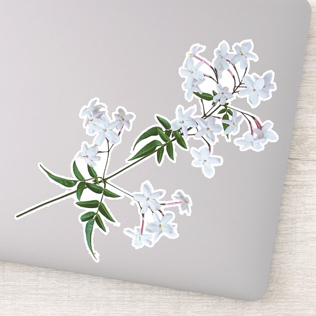 The Herb Jasmine | Vinyl Sticker (Detail)