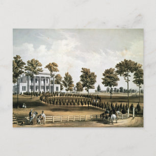 The Hermitage Postcard