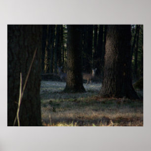The Hidden Deer Poster