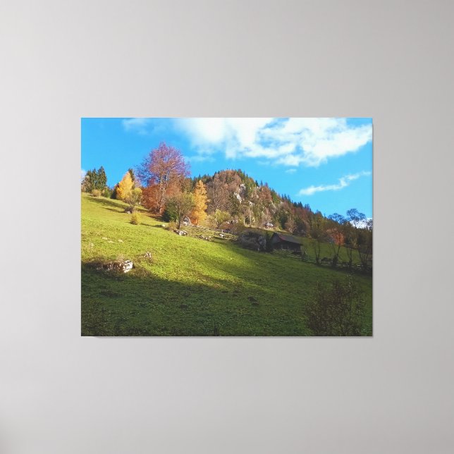The High Meadow - Wild Nature Romania Canvas Print (Front)