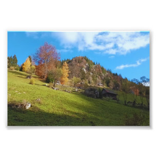 The High Meadow - Wild Nature Romania Photo Print