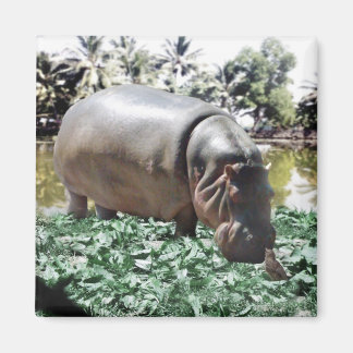 The Hippo And The Bird Magnet