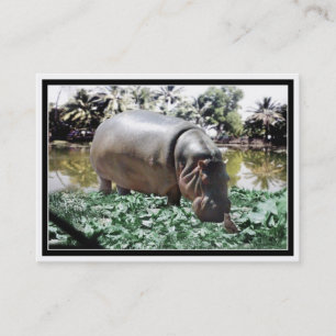The Hippo & Bird Business Card