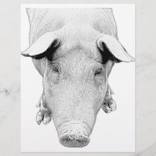 The Hog in Black and White