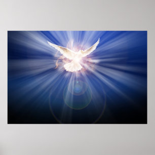 the holy ghost in light poster