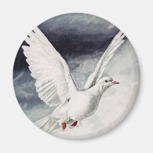 The holy spirit in the form of a Dove Magnet