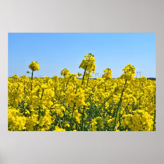 The Horizon Line - Colours of Wild Nature Romania Poster