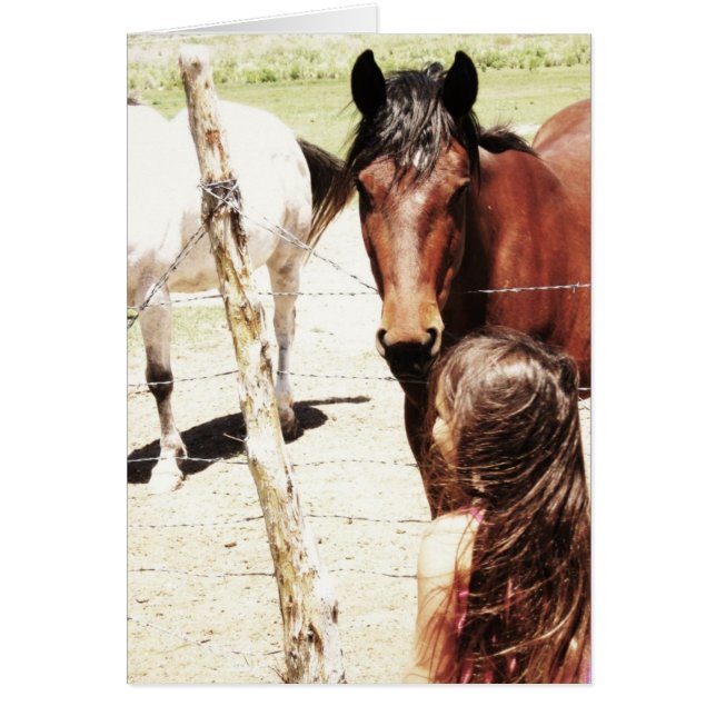 The Horse Listener (Front)