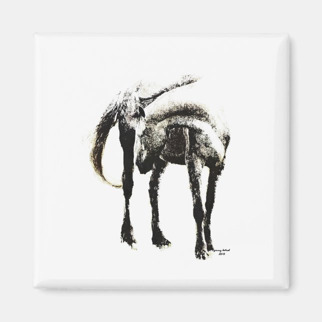 The Horse Magnet (Front)