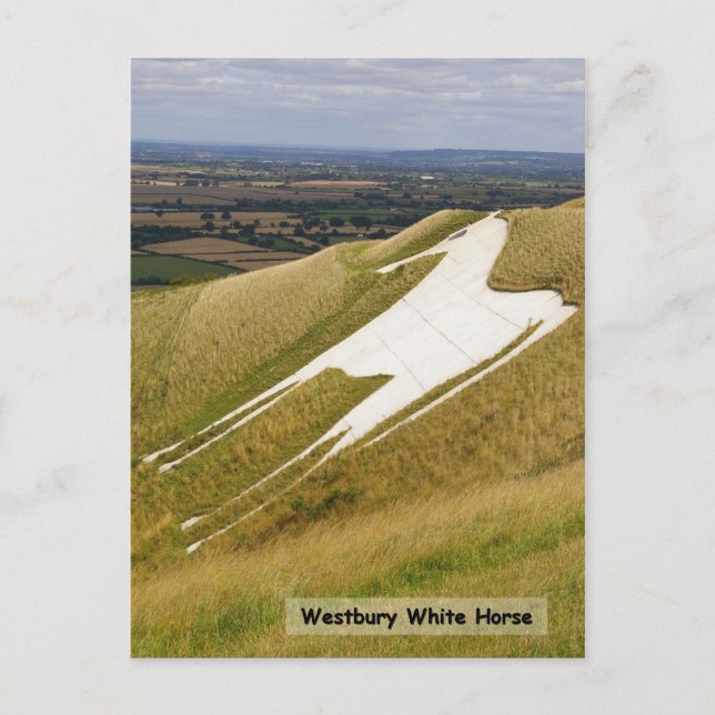 The Horse Postcard (Front)