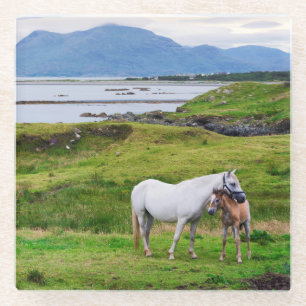 The Horses of Connemara Galway, Ireland Glass Coaster
