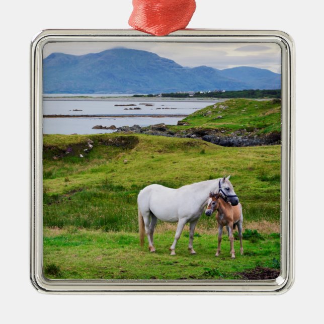 The Horses of Connemara | Galway, Ireland Metal Tree Decoration (Front)