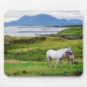 The Horses of Connemara Galway, Ireland Mouse Pad