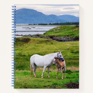 The Horses of Connemara Galway, Ireland Notebook