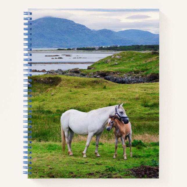 The Horses of Connemara | Galway, Ireland Notebook (Front)