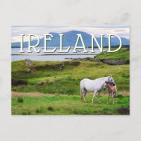 The Horses of Connemara | Galway, Ireland