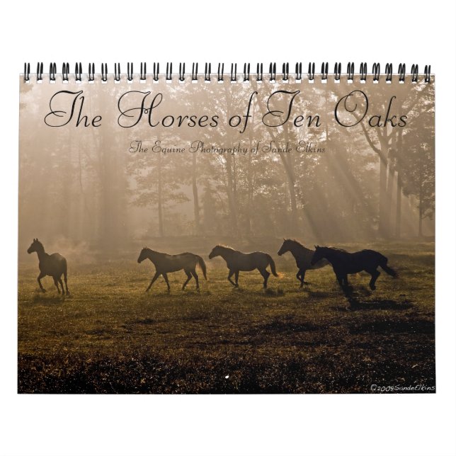 The Horses of Ten Oaks Calendar (Cover)