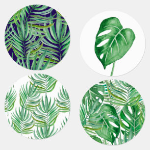 The huge leaves of palm trees and monstera