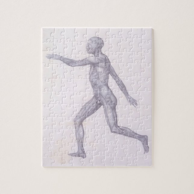 The Human Figure, lateral view, from the series 'A Jigsaw Puzzle (Vertical)