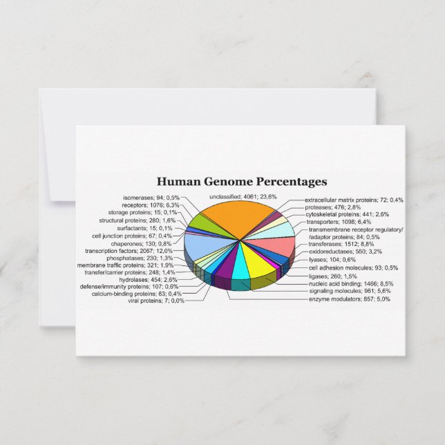 The Human Genome with Number and Percent of Each (Front)