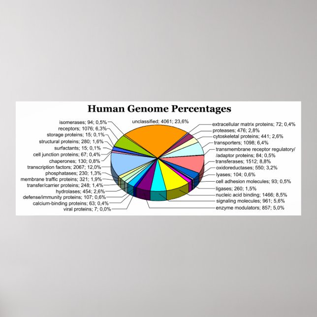 The Human Genome with Number and Percent of Each Poster (Front)
