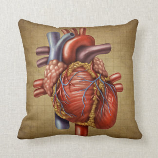 The Human Heart Pillow