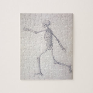 The Human Skeleton, lateral view, from the series Jigsaw Puzzle