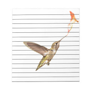 The hummingbird and the flower notepad