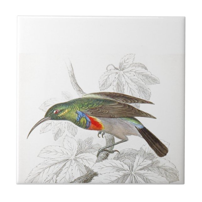 The Hummingbird Tile (Front)