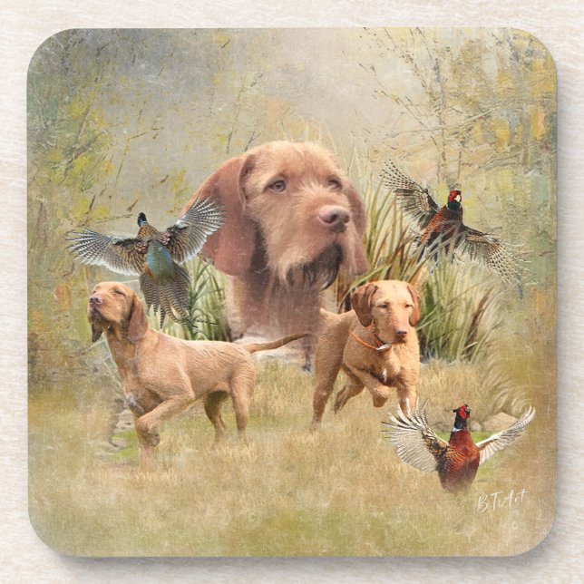 The Hungarian Wirehaired Vizsla  Coaster (Front)