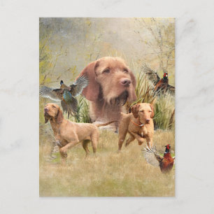 The Hungarian Wirehaired Vizsla Holiday Postcard