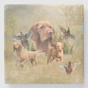 The Hungarian Wirehaired Vizsla  Stone Coaster