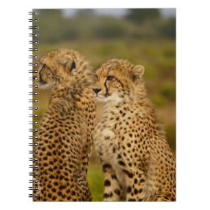 THE HUNT NOTEBOOK
