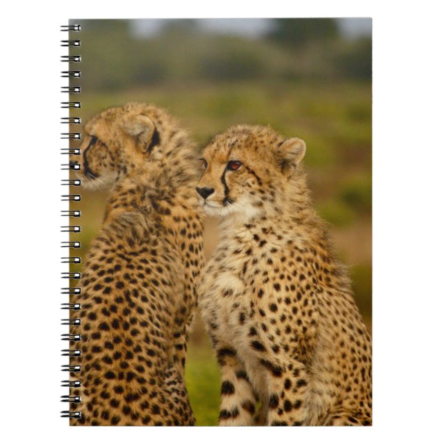 THE HUNT NOTEBOOK (Front)
