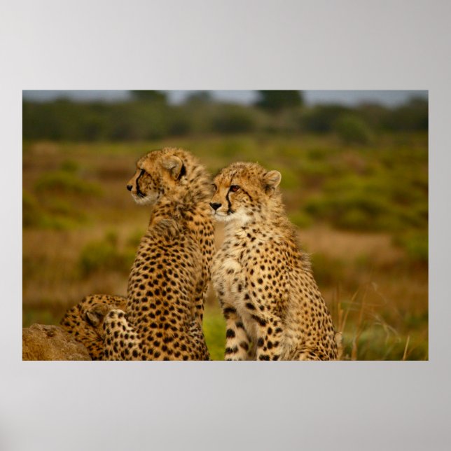 THE HUNT POSTER (Front)