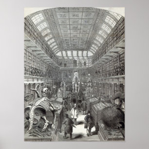 The Hunterian Museum Poster